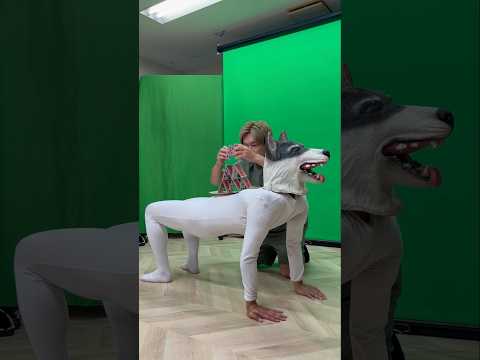 【House of Cards】#AGT #dog