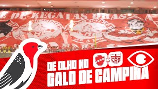 DE OLHO NO GALO DE CAMPINA - VILA NOVA X CRB