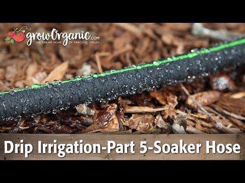 Drip irrigation using soaker hose in the garden