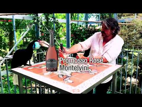 Samenwerking Rotary Genk Staelen - Koen Vanmechelen