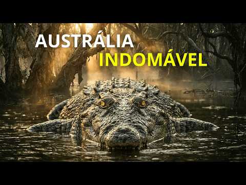 AUSTRÁLIA SELVAGEM – O Reino dos Predadores Invisíveis | Documentário Completo