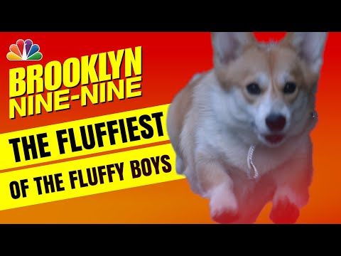 Cheddar Holt-Cozner: One Good Boy! - Brooklyn Nine-Nine