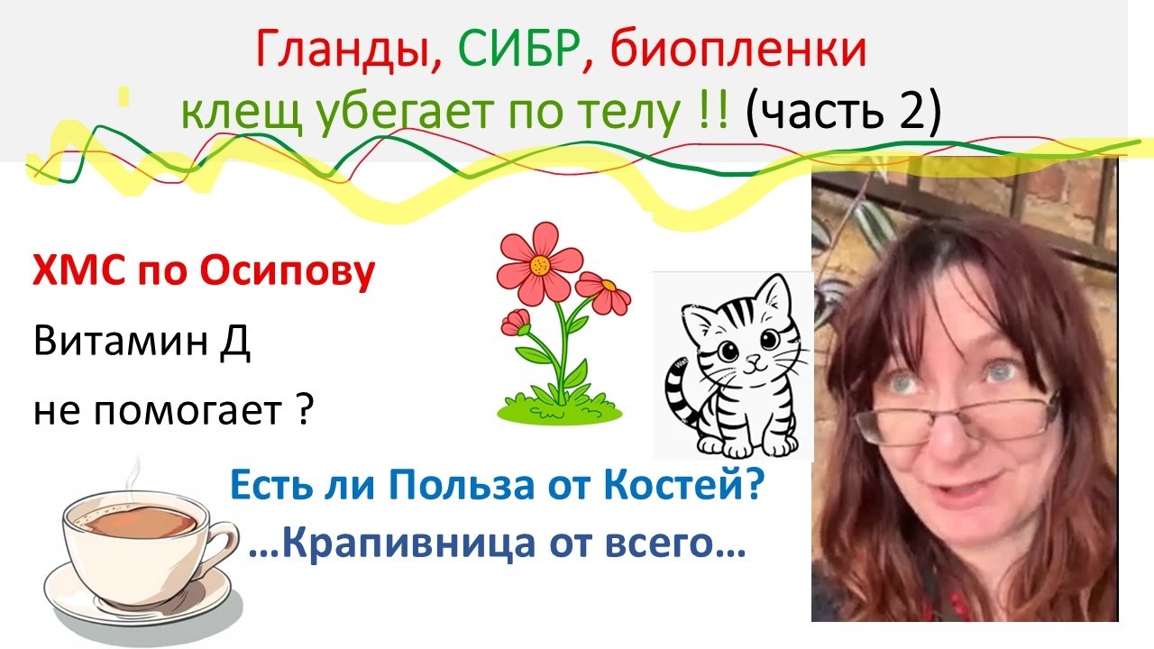 МНОГО АНЧИ: коты буянят.(часть 2)