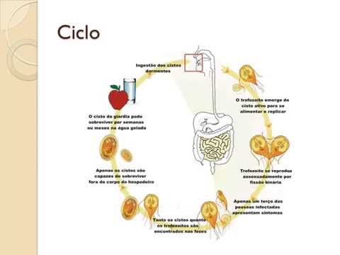 Vermi con la fine raddoppiata Le sabbie di bambino i denti strisciano di notte