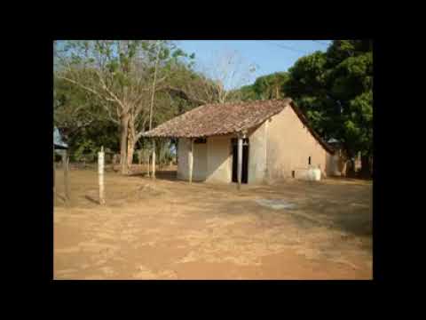 Ulpiano Vergara Ingratitudes