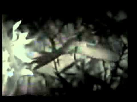 Intervalo da TV Tupi - Carnaval 1980 (1)