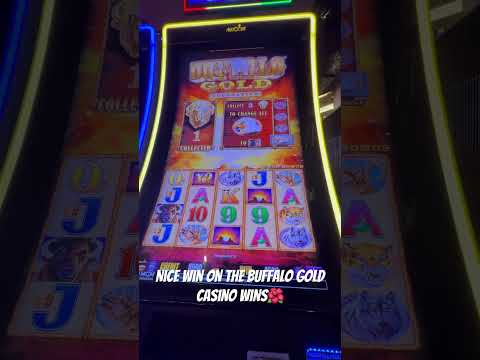 https://zodiaccasino-si.org/