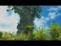 Sonic Unleashed Xbox 360 Trailer - Launch Trailer (HD)