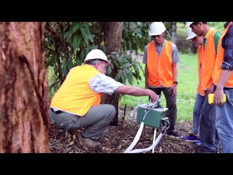 サザンクロス大学で林業を学ぶ (Studying forestry at Southern Cross University)