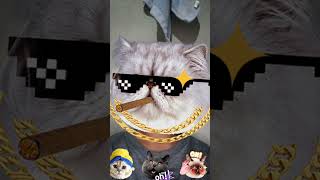 Download lagu https://youtube.com/shorts/lQdqLImLBZ8?si=-TVrpxiwug3FBwXX #lagu mp3