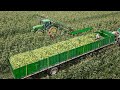 US Farmers Harvest 2 9 Billion Pounds Of Sweet Corn This Way Farming