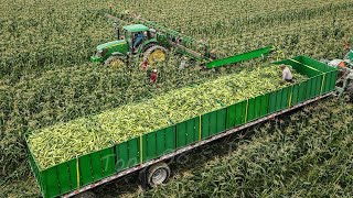 US Farmers Harvest 2.9 Billion Pounds Of Sweet Corn This Way - Farming