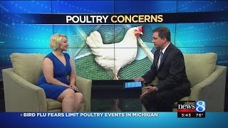Bird shows banned to prevent spread of avian flu