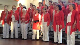 Hugo Barberladies - Hooked On A Feeling