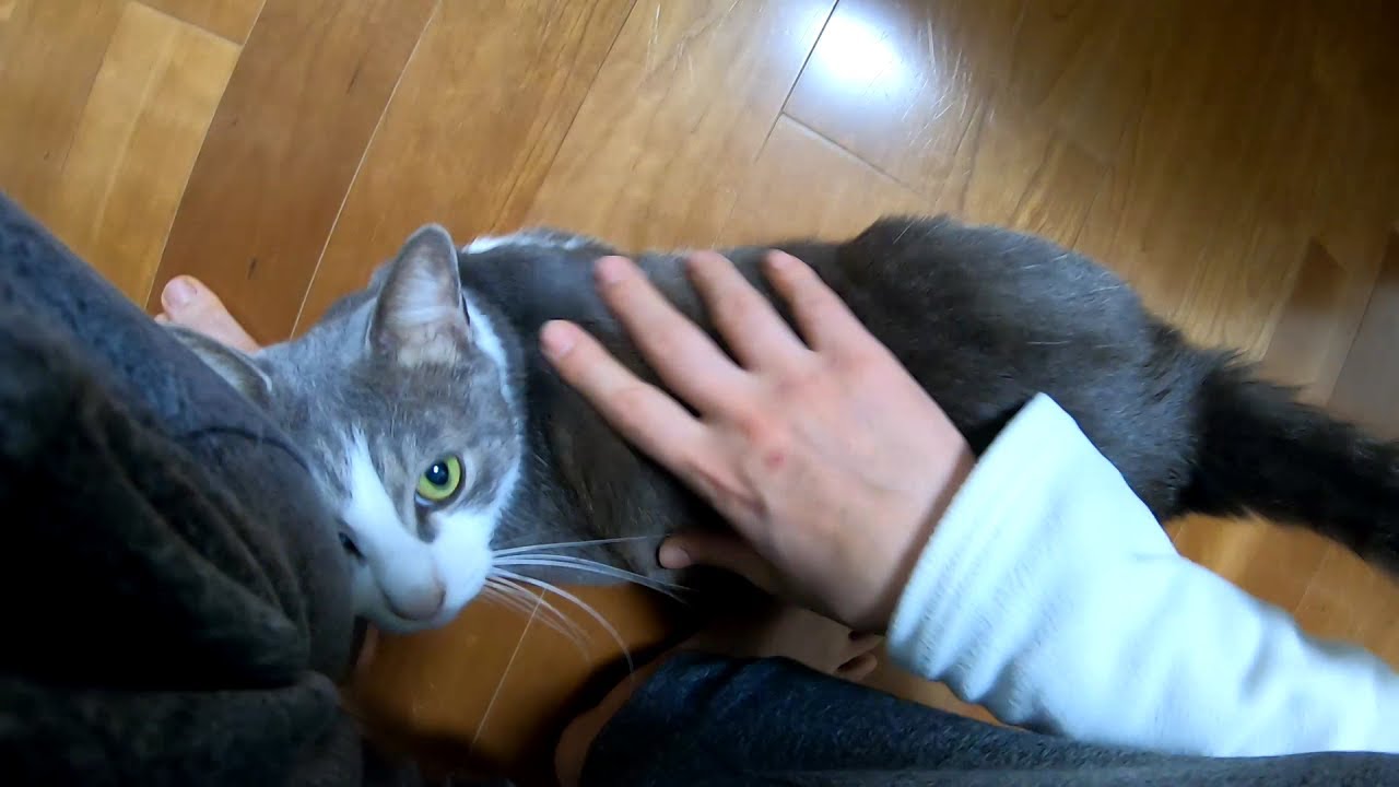 #254 温かいよう - I will warm you -