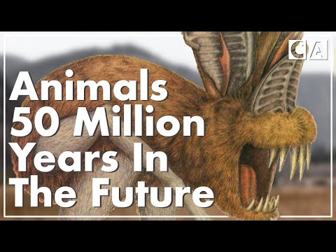 What Animals Might Look Like If Humans Went Extinct...