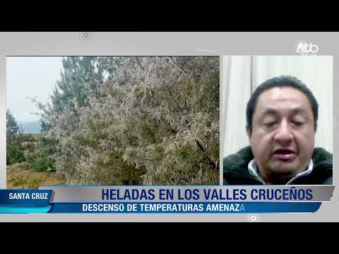 Heladas afectan cultivos y pastizales en los Valles cruceños