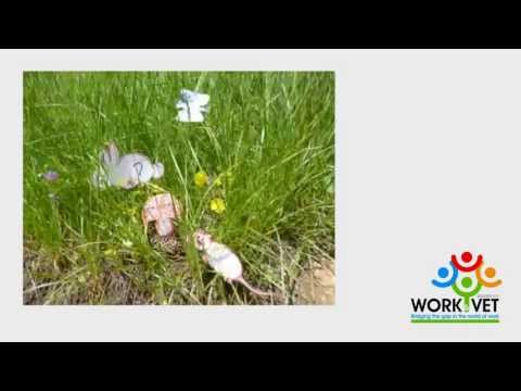 Work&VET Tutorial 04: Stop Motion