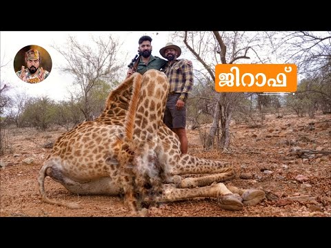 GIRAFFE HUNTING IN SOUTH AFRICA/ HUNTING VIDEOS/ BIG GAME HUNTING/ HUNTING STORIES