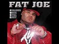 Fat Joe - Opposites Attract (What They Like) (Clean)