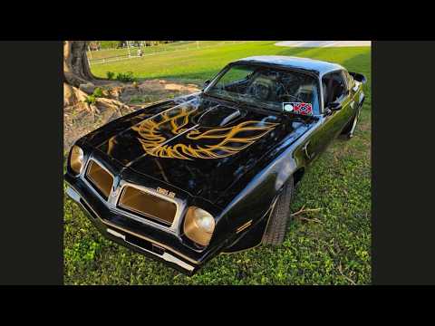 1976 Pontiac Firebird Trans Am (CC-2065720) for sale in Glendale, California
