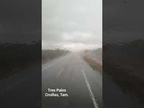 Mucha lluvia. Tres Palos, Cruillas, Tamaulipas. Shorts. 2023.