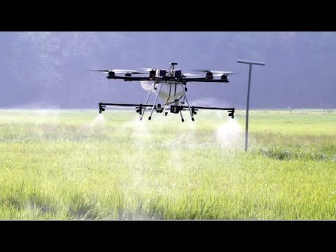 Perkataan Peladang Sudah Lapuk, ada cara lain kenal mereka kata pakar