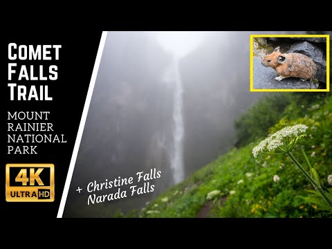 Comet Falls Trail (+ Christine Falls/Narada Falls) | Mount Rainier National Park