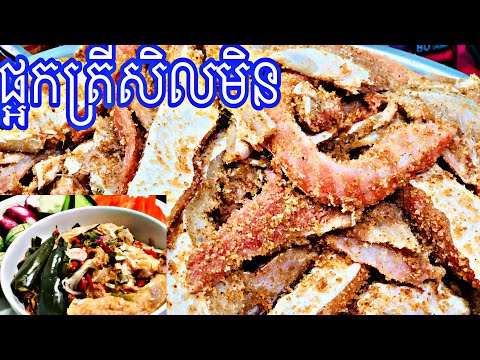 download lagu mp3 mp4 Fermented Salmon, download lagu Fermented Salmon gratis, unduh video klip Fermented Salmon