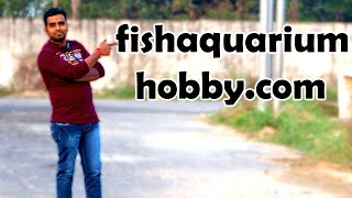 Fish & Aquarium Hobby Website launch || Buy online Fish || buy online aquariun products