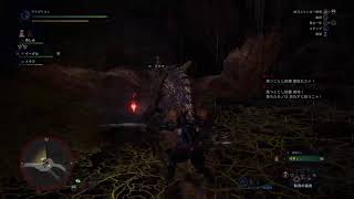 MHWアイスボーン耐久プレイ