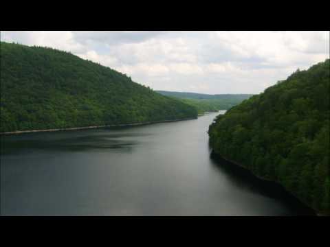 Prophet 12 Brass Patches