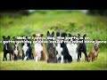 Who Let The Dogs Out Baha Men Lyrics