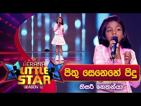 Pithu Senehe Pidu (පිතු සෙනෙහේ පිදු) | Thisari Nethanya | Derana Little Star Season 12