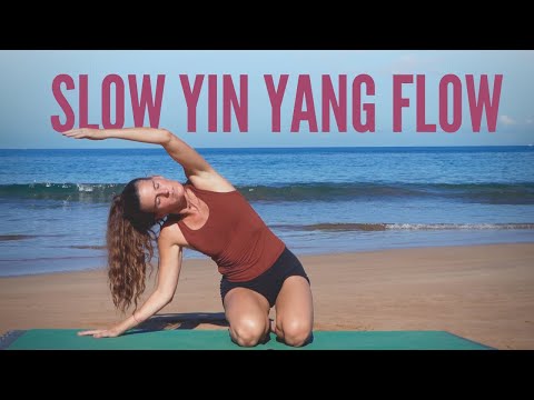 35 Min Yin Yang Yoga | Total Body Flow & Stretch
