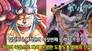 [원피스 분석] 쿠마의 의지를 이어 도톰도톰열매를 먹는 프랑키 그리고 베가펑크와 쿠마가 계획한 실험의 정체