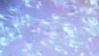 Canibus - I honor you