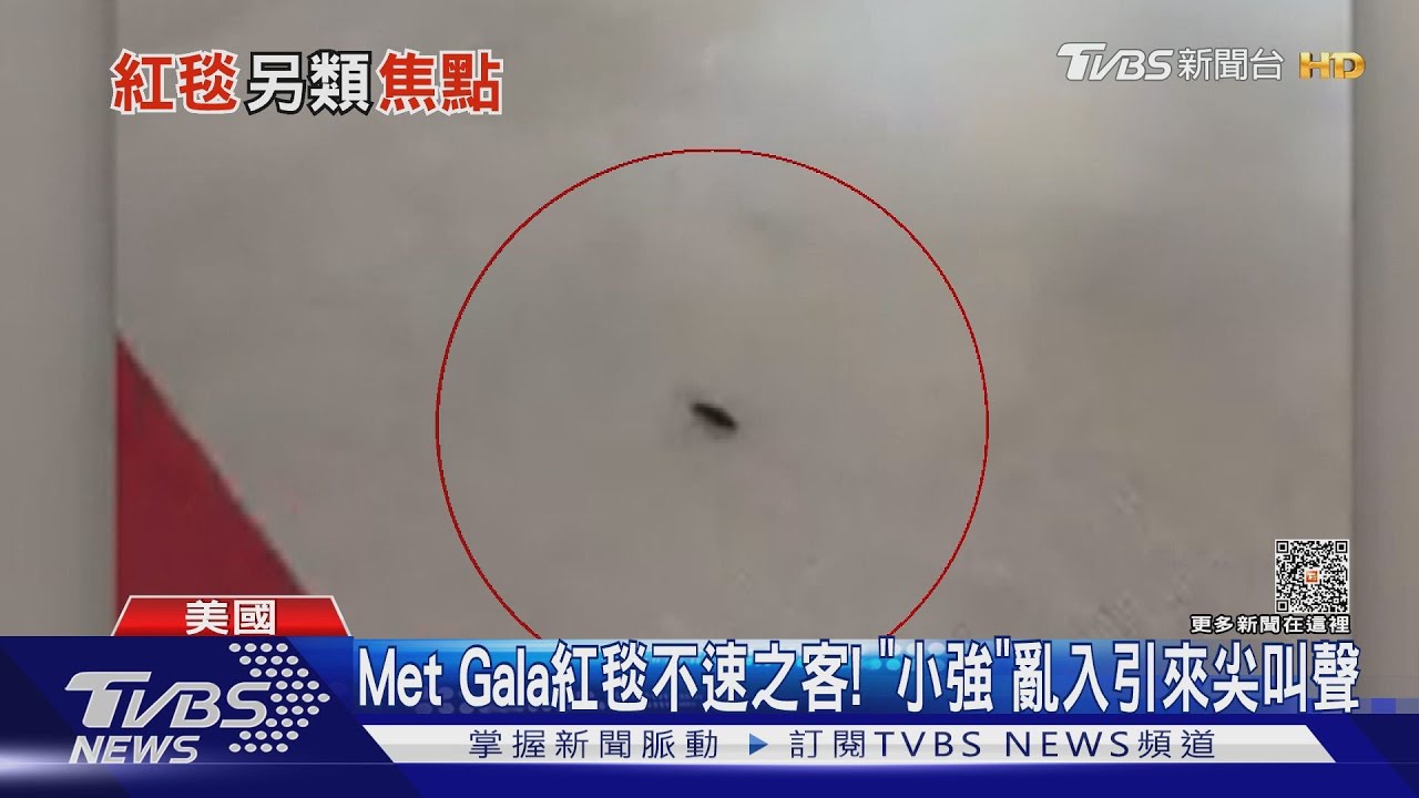 Met Gala紅毯不速之客！　「小強」亂入記者明星尖叫