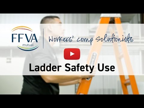 FFVA Mutual Ladder Use