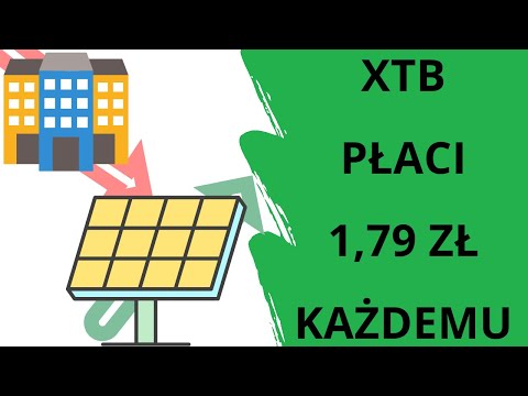 Polskie spółki dywidendami stoją - XTB, Amica, Asseco Poland, Echo