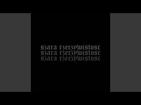 Szara rzeczywistość