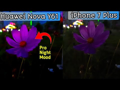Huawei Nova y61 camera test vs iPhone 7 plus camera test