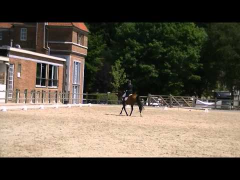 RLM La Chevalerie C2