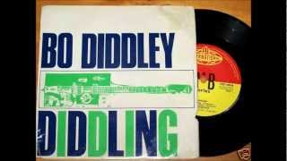 Bo Diddley - Babes In The Woods
