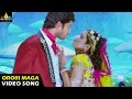 Yamudiki Mogudu Songs Orori Magadheera Video Song Allari Naresh Richa Panai Sri Balaji Video