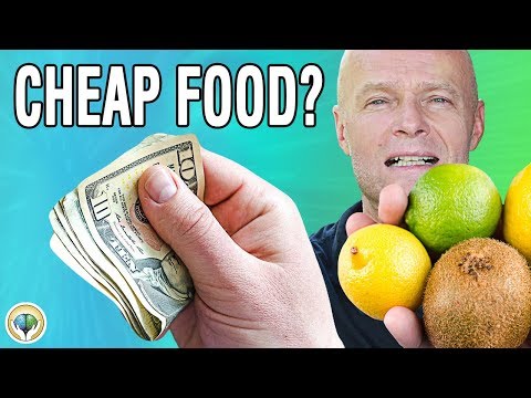 Why Eating Healthy Is So Expensive In America? Dr Ekberg