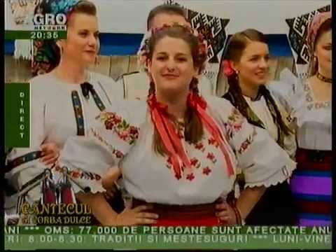 ELISABETA GUZU - Bade tare lotru esti