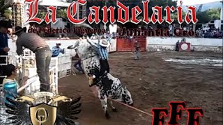 preview picture of video 'Rancho La Candelaria (FFF) de Federico Figueroa en San Miguel Cuyutlán 2014'