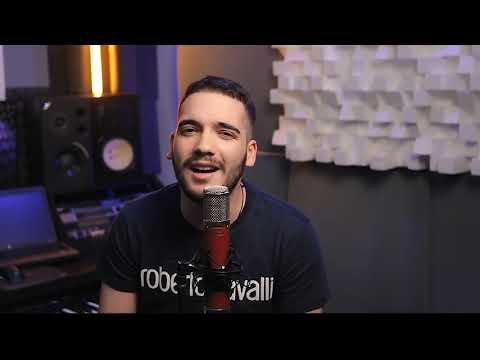 DUŠAN VUKADINOVIĆ - LJUBIM LJUBIM (COVER 2023)