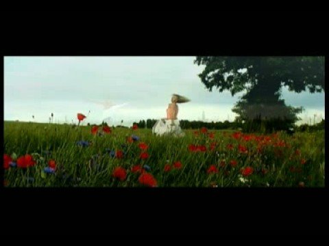 Wit Michaj Lacy Wiśniewski Gari Gari live!